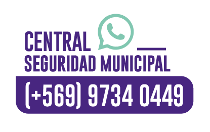 Fonos Seguridad_web_1