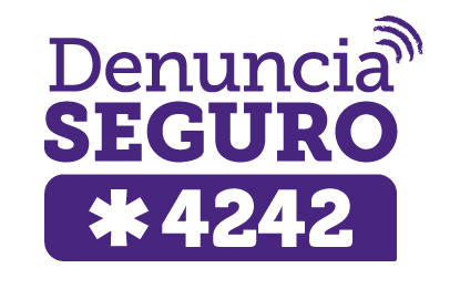 Fonos Seguridad_web_7
